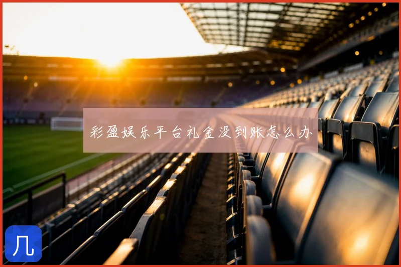 彩盈娱乐平台礼金没到账怎么办